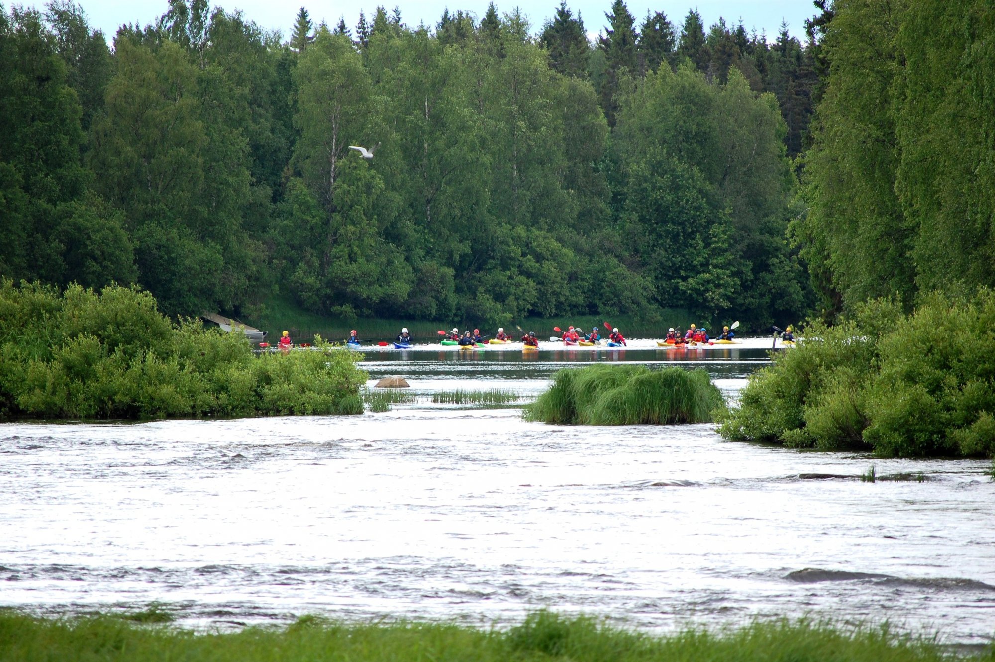 Kayakers in the Pyhäjoki River