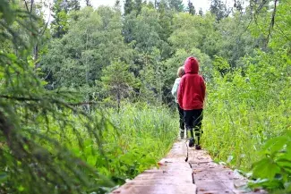 Hangasneva luontopolku