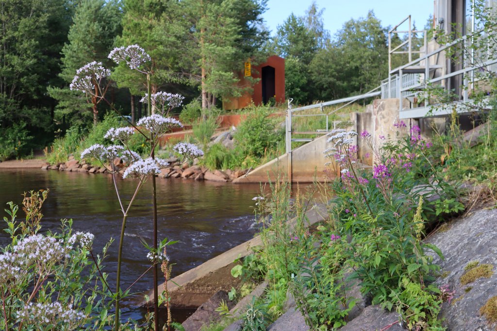 Piehingin pato Raahessa.