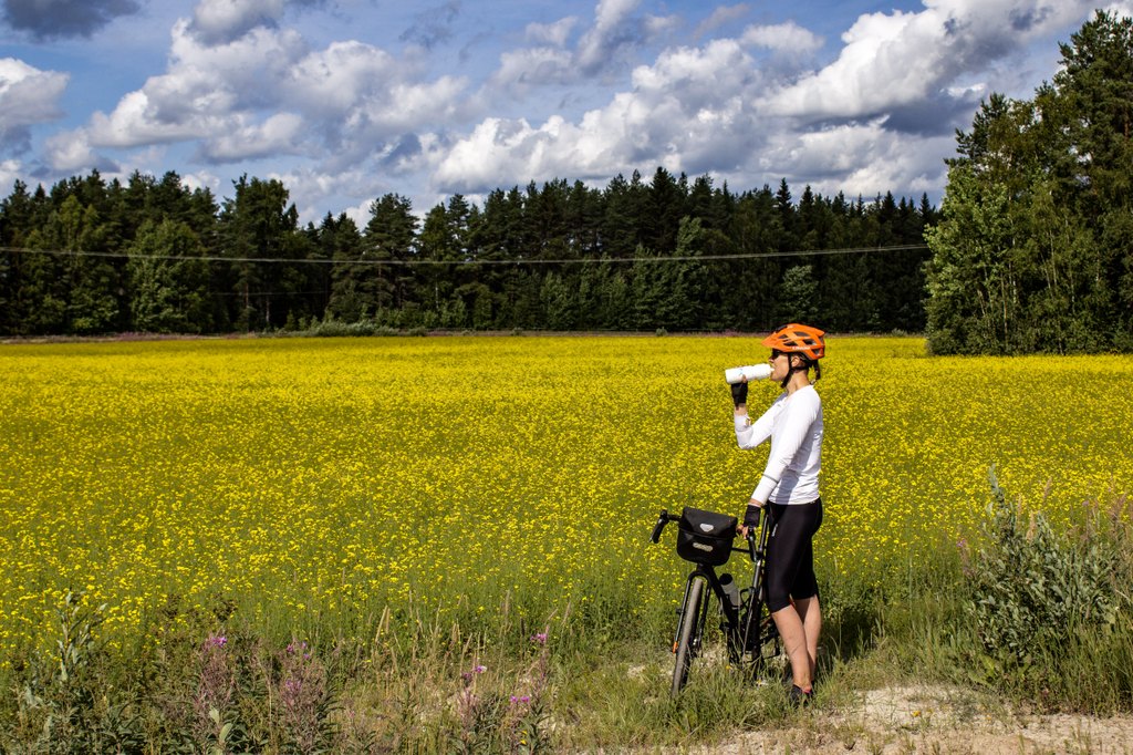 Pyöräilijä pysähtyneenä rypsipellon vieressä Siikajoella.