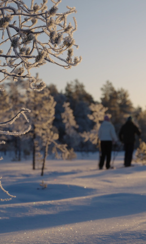 A couple with snowshoes in Siikajoki on the frozen bog landscapes.