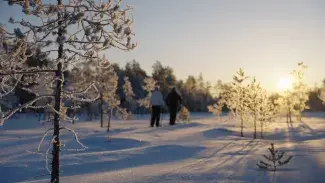 A couple with snowshoes in Siikajoki on the frozen bog landscapes.