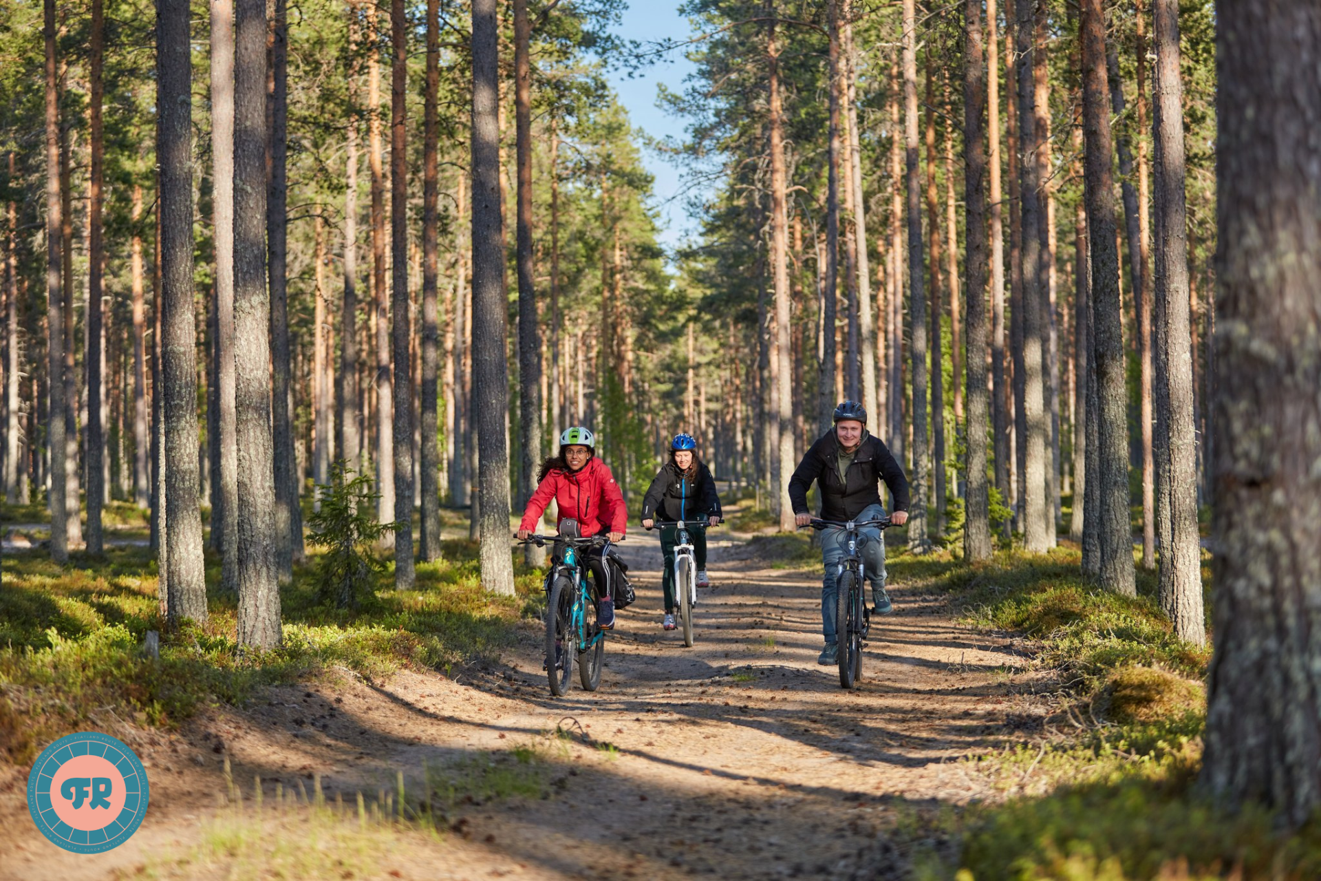 Cyclists riding on a forest trail.